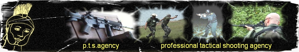 p.t.s.agency.